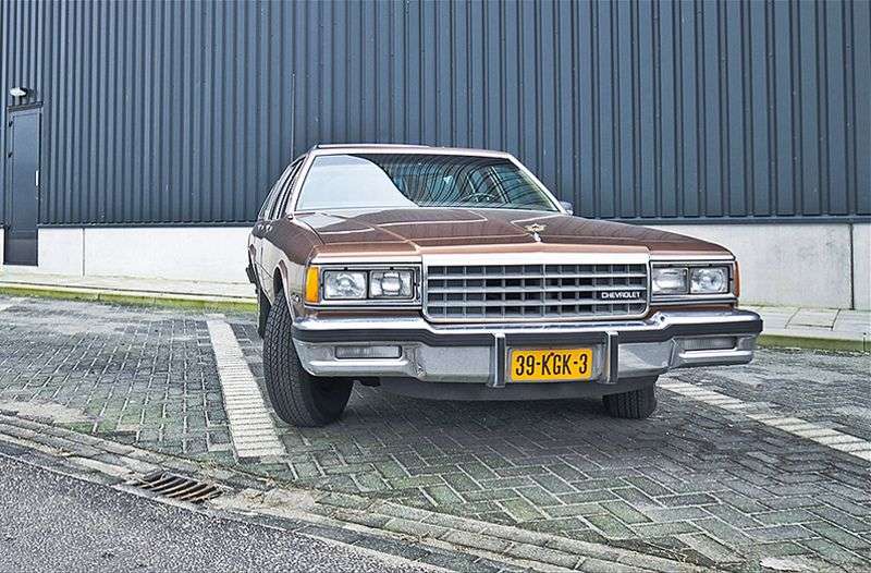 Chevrolet Caprice 3rd generation [restyling] wagon 4.4 4AT 3 seat (1982–1983)